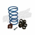 Utility Clutch Kit - Rhino 450