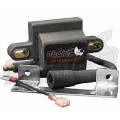 Performance Coil Kit-Rhino 660/450